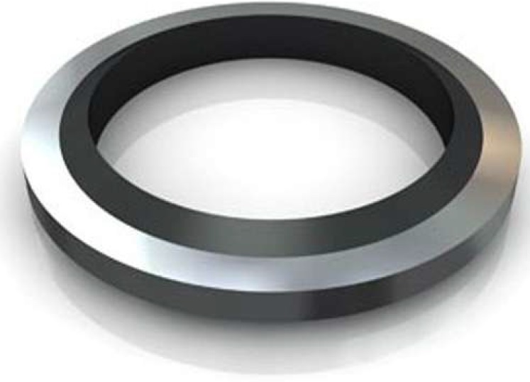 Metal Seal Ring